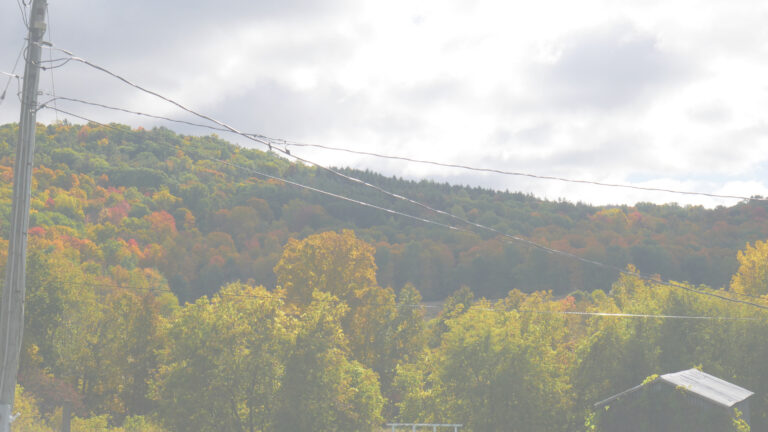 ECWT Implementation Guidance